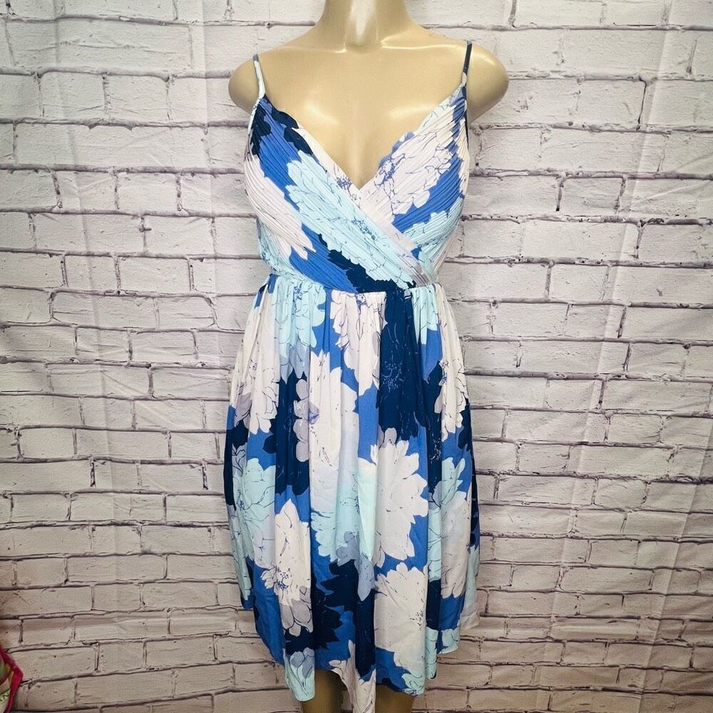 Banana Republic Women's Blue White Floral Print Pleated Dress Size 0